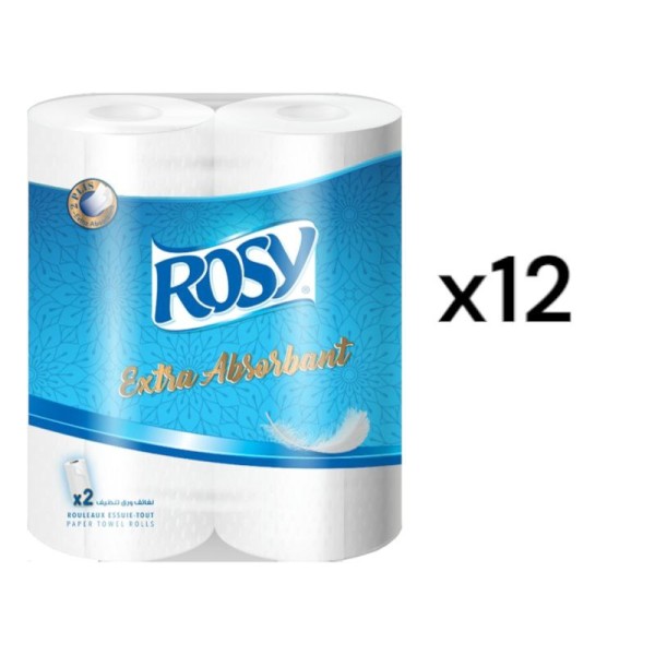 Essuie tout Rosy 2 rouleaux sac de 12