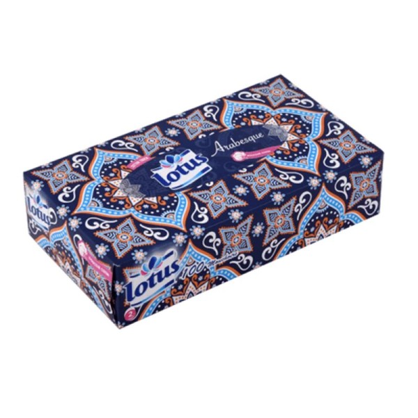 Distributeur de Mouchoir Lotus 100 F ( carton de 15 )
